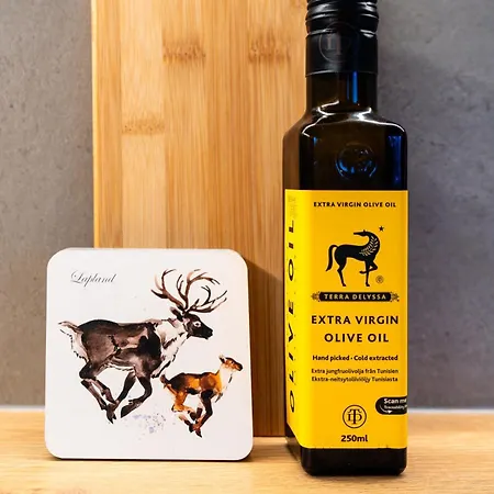 Northern Nest - Near Santa Claus Village - Free Wifi - Sauna * Rovaniemi