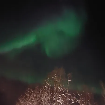 Northern Nest - Near Santa Claus Village - Free Wifi - Sauna Apartman Rovaniemi