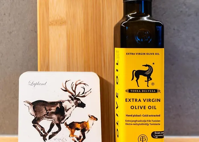 Northern Nest - Near Santa Claus Village - Free Wifi - Sauna * 로바니에미