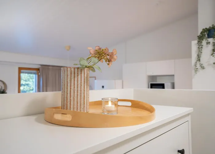 Northern Nest - Near Santa Claus Village - Free Wifi - Sauna * 로바니에미