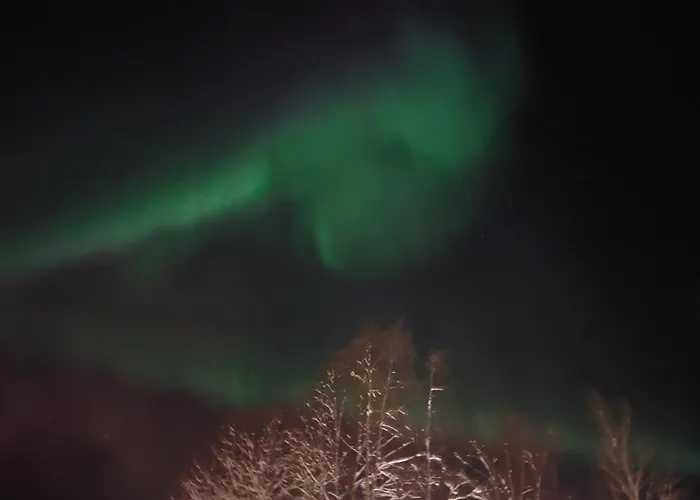 Northern Nest - Near Santa Claus Village - Free Wifi - Sauna 아파트 로바니에미